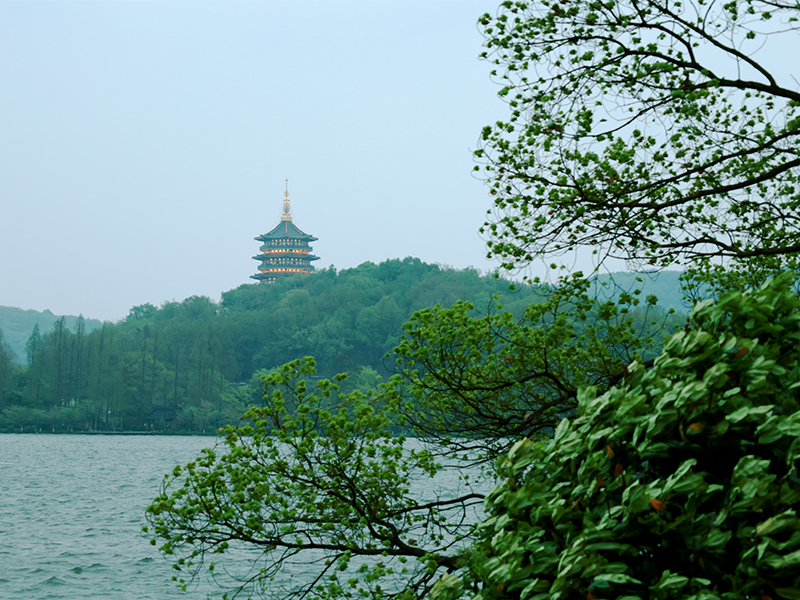 人文杭州，父母們來了！河南礦山第十三屆孝文化感恩旅游節(jié)第三站